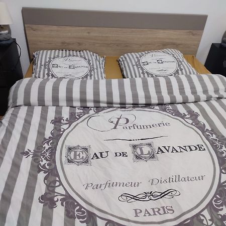 Grand Appartement Chaleureux Mirebeau-sur-Beze Exteriör bild